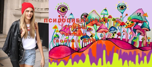 прущие грибы Абдулино