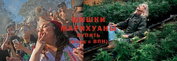 прущие грибы Абдулино
