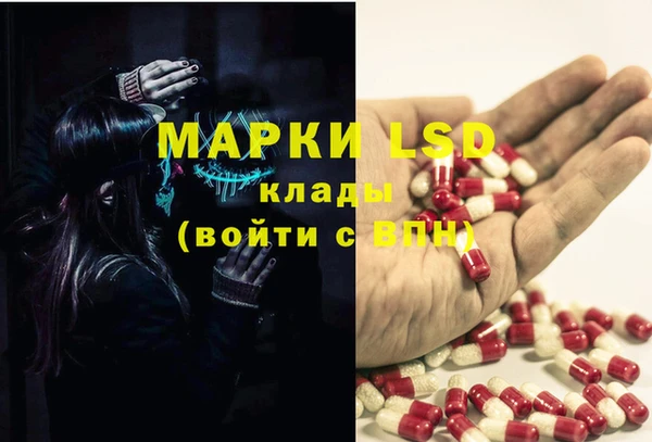 прущие грибы Абдулино