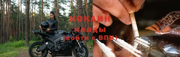 прущие грибы Абдулино