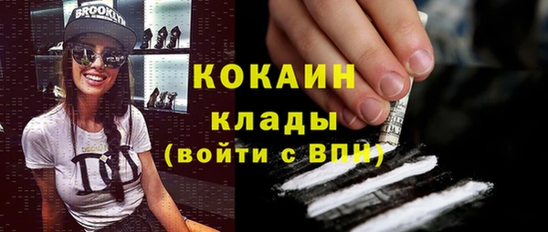 дживик Абаза