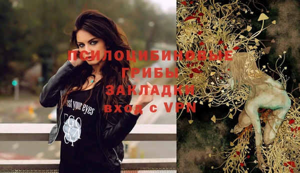 прущие грибы Абдулино