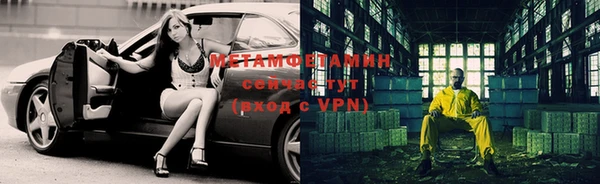 прущие грибы Абдулино