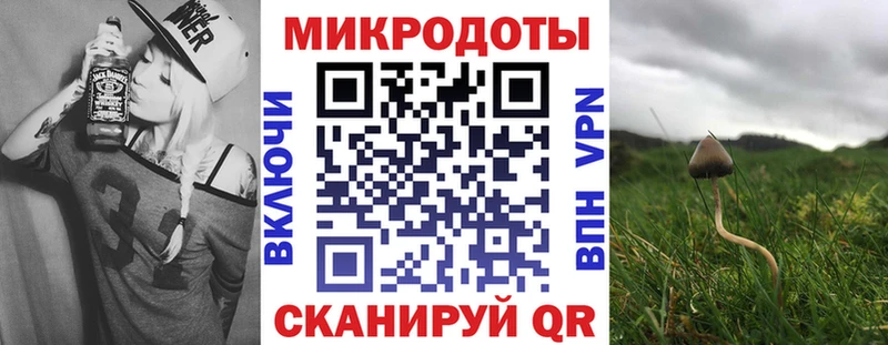 где продают наркотики  Княгинино  Галлюциногенные грибы Magic Shrooms 